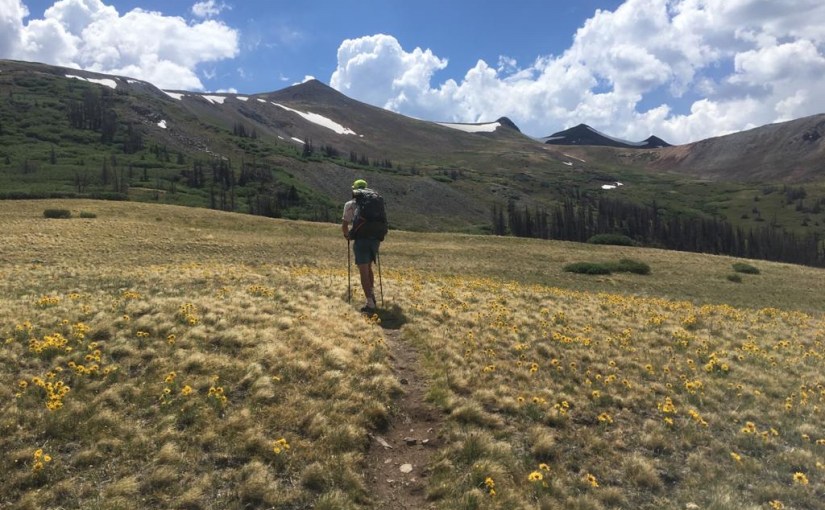 Advice from a Cowboy and Beavers in the&nbsp;Moonlight